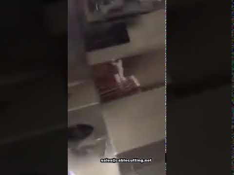 Fully Automatic Terminal Crimping Machine with Connector Assembly Insertion