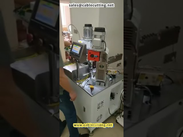 Double-Head Vibrating Plate Terminal Machine for Wire Processing