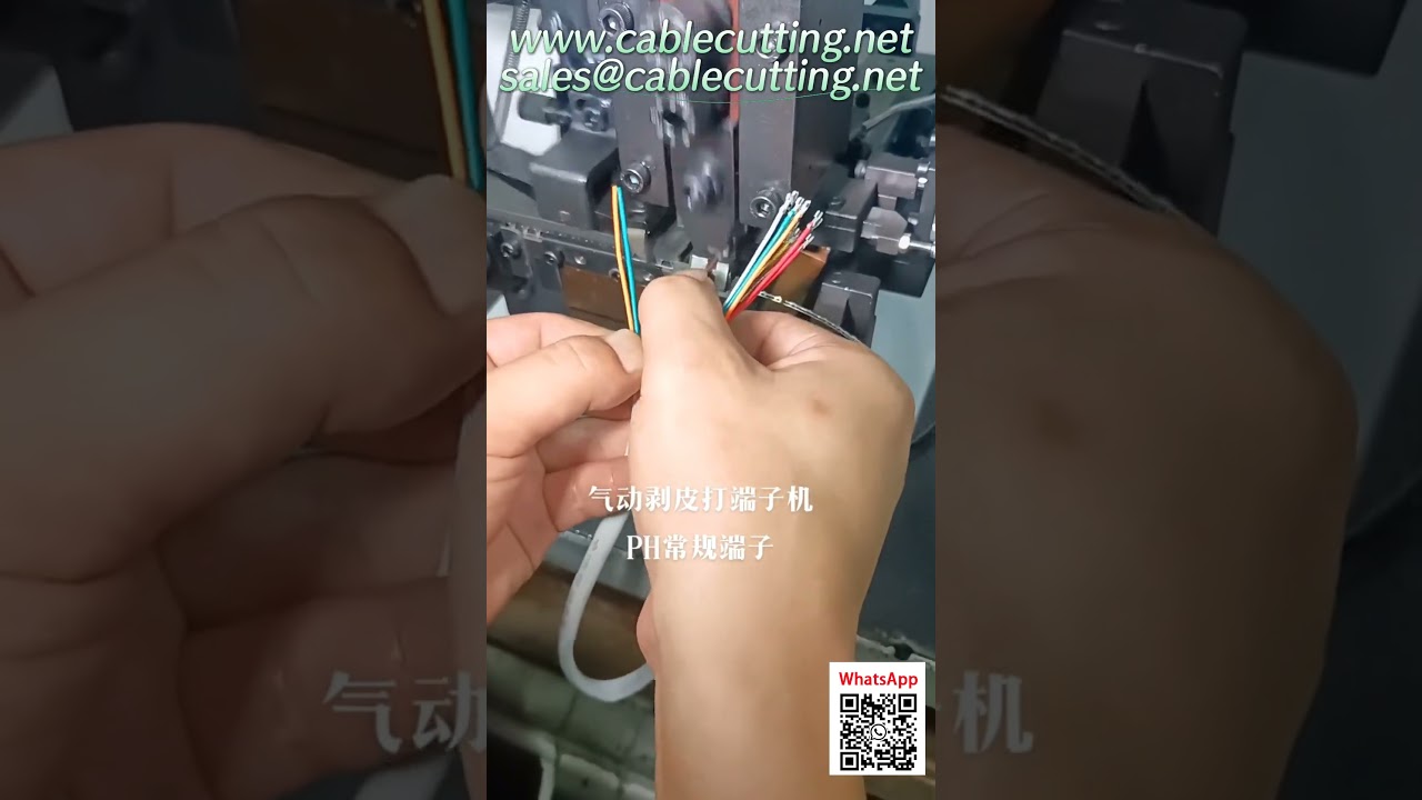 Automatic Wire Processing and Packaging Machine P-H