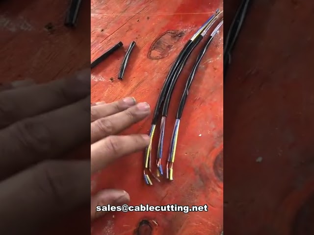 Automatic Sheath Cable Cutting and Stripping Machine WPM-30-HT