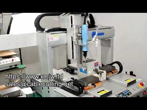Desktop Five-Axis Automatic Locking Screw Machine Fasten Robot with Unloading