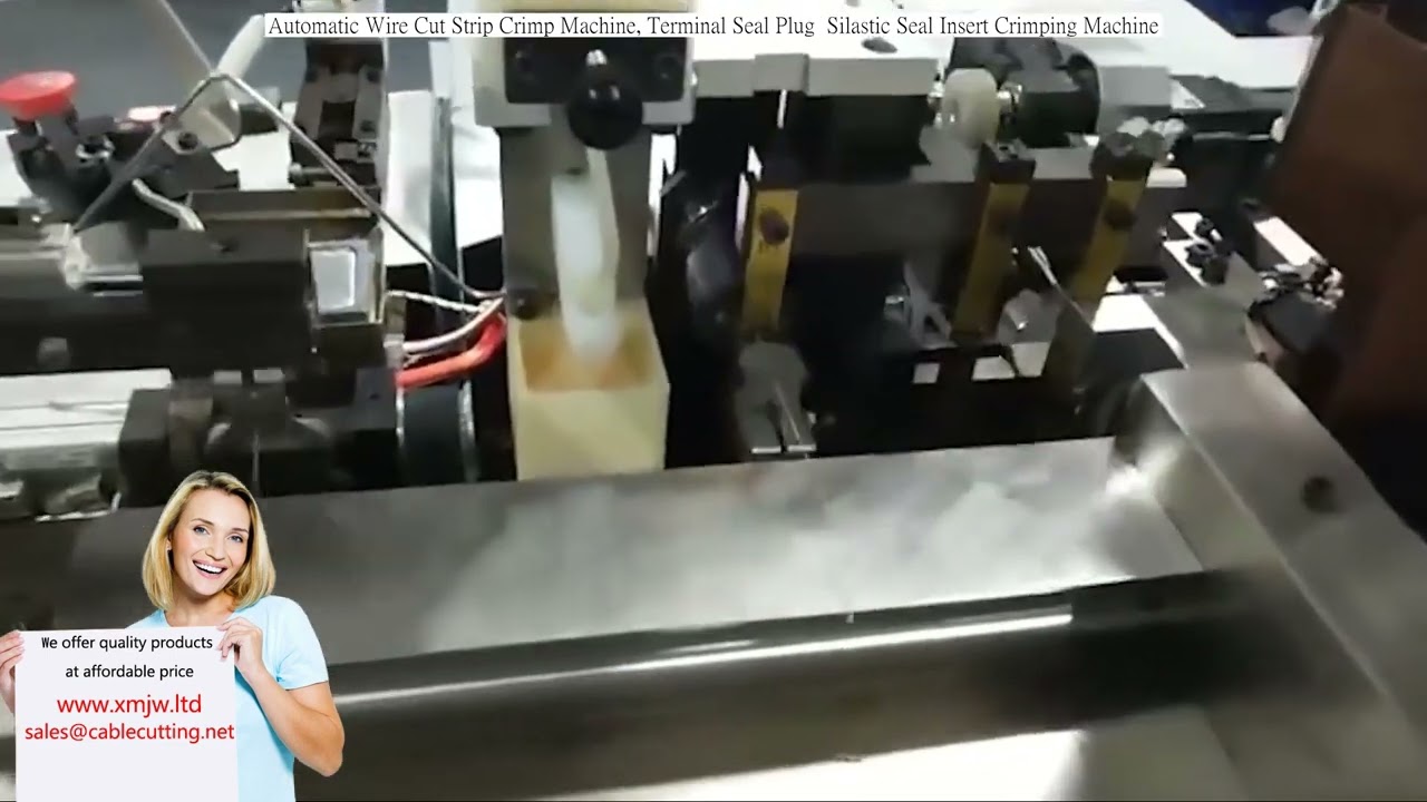 Automatic Wire Cut Strip Crimp Machine with Terminal Seal Plug and Silastic Seal Insert