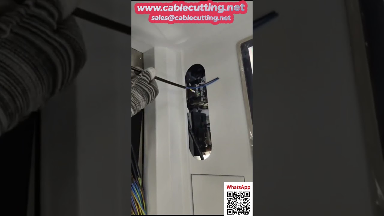 Automatic Numbered Tube Insertion and Crimping Machine