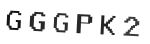 Verification Code Image