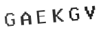 Verification Code Image
