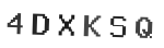 Verification Code Image