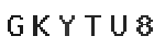 Verification Code Image