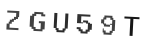 Verification Code Image