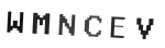 Verification Code Image