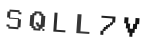 Verification Code Image